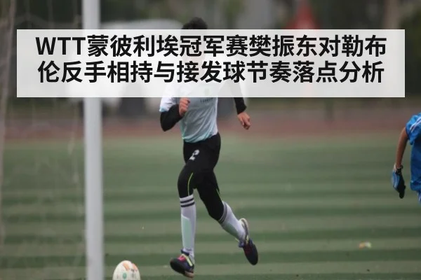 WTT蒙彼利埃冠军赛樊振东对勒布伦反手相持与接发球节奏落点分析