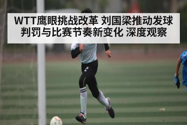 WTT鹰眼挑战改革 刘国梁推动发球判罚与比赛节奏新变化 深度观察 - c7